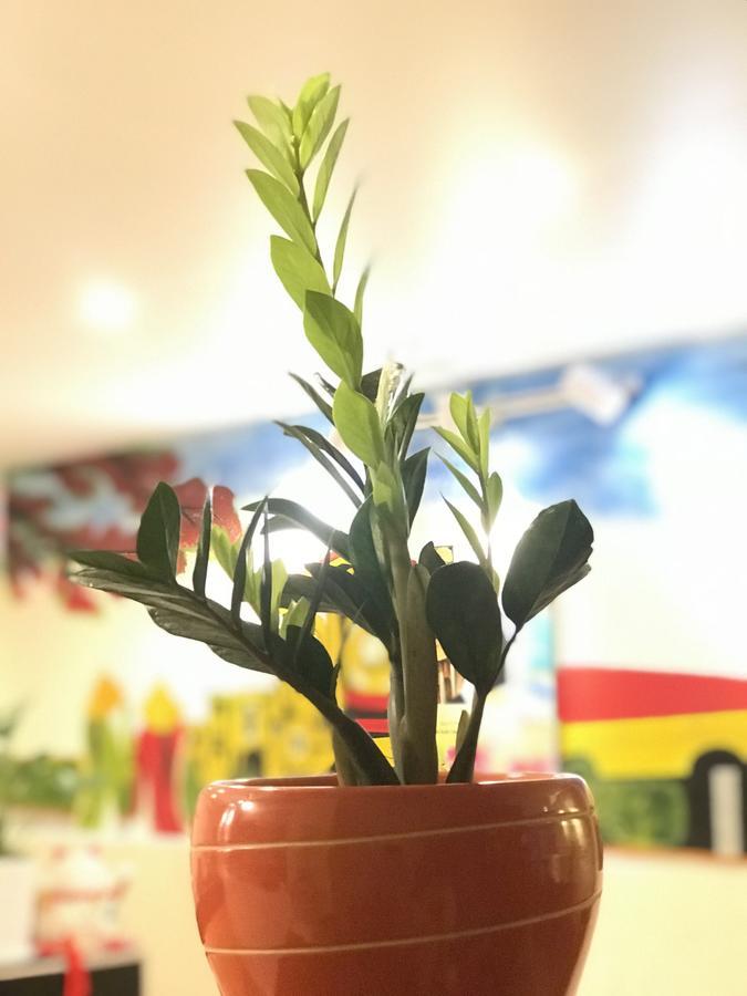 The Lily Hostel & Coffee Ho Chi Minh-byen Eksteriør bilde